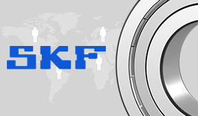 SKF Bearings